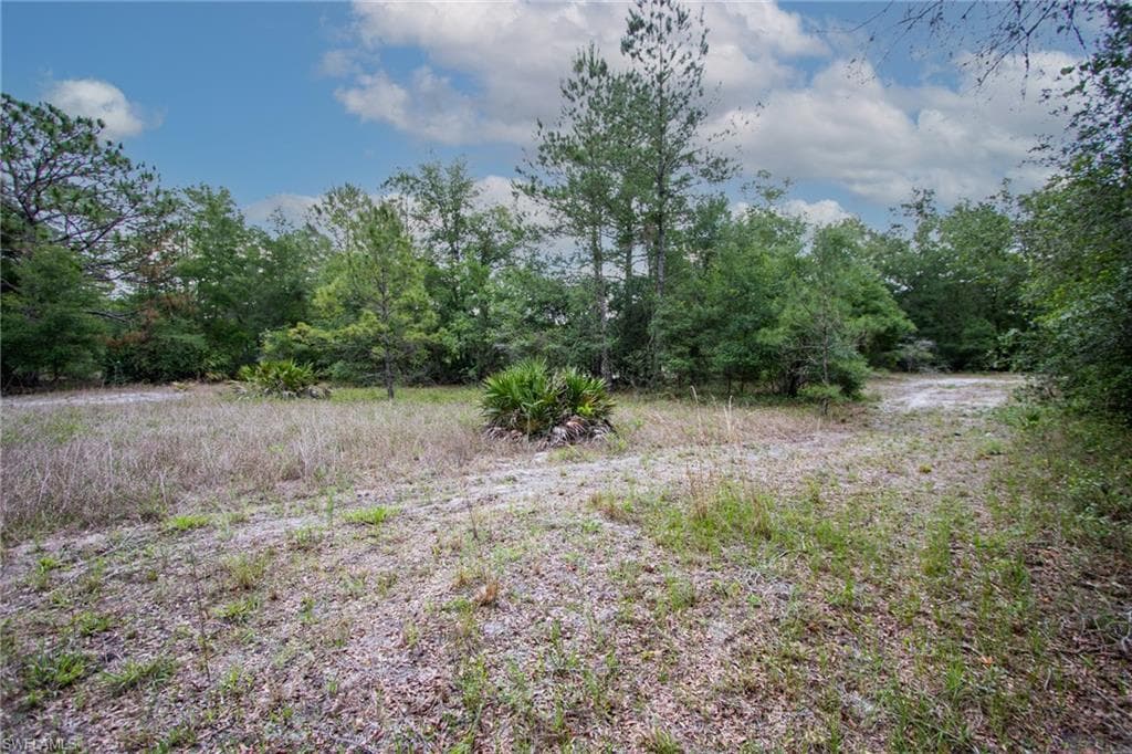 34122 August AVE-5