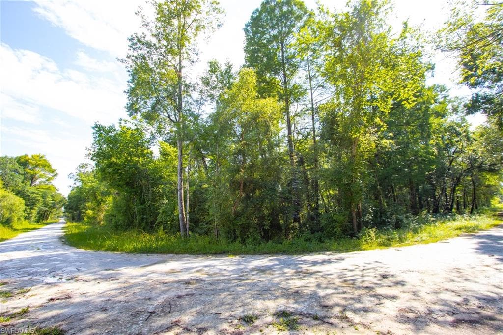 33464 Packingham DR-2