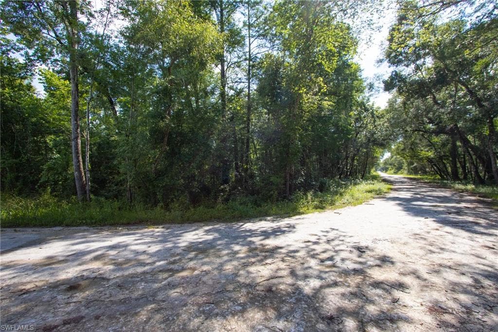 33464 Packingham DR-3