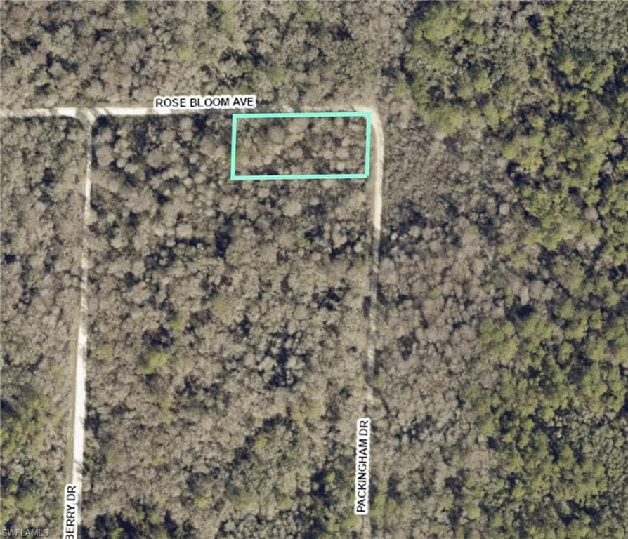 33464 Packingham DR-1