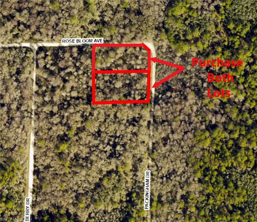 33464 Packingham DR-4
