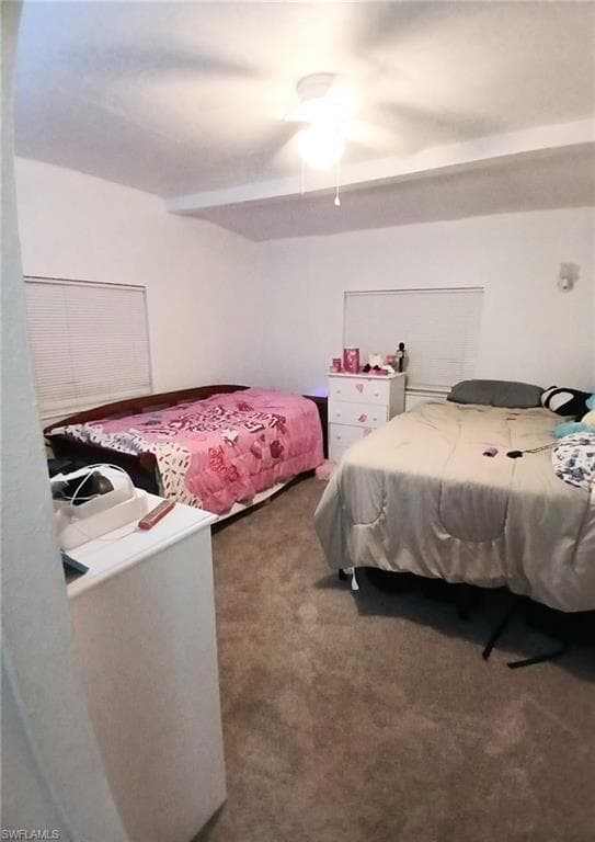 47 Cypress ST-6
