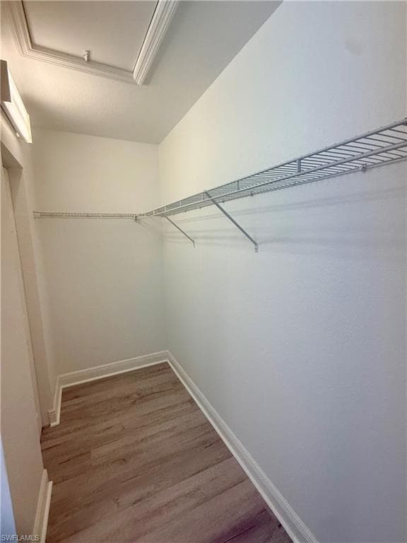 3396 Dandolo CIR-6