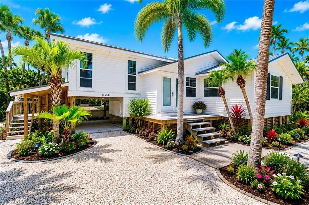 11550 Laika LN-1