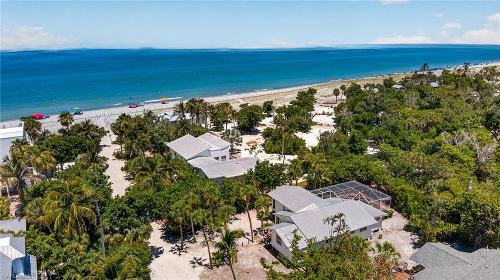 11550 Laika LN-4