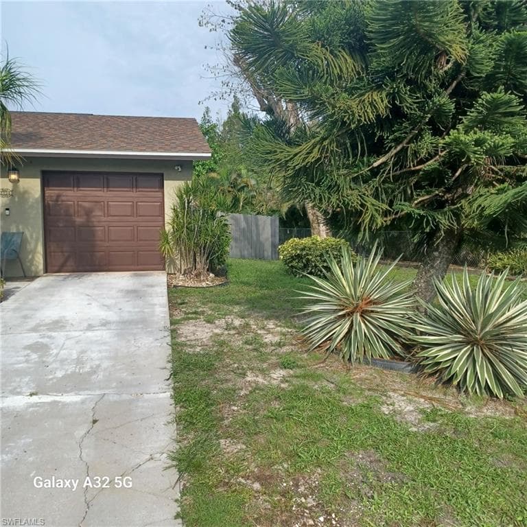 2324 Caladium RD-32