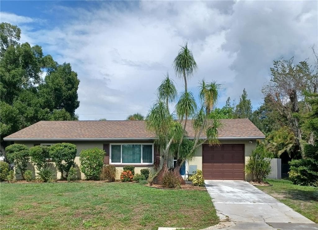 2324 Caladium RD-1