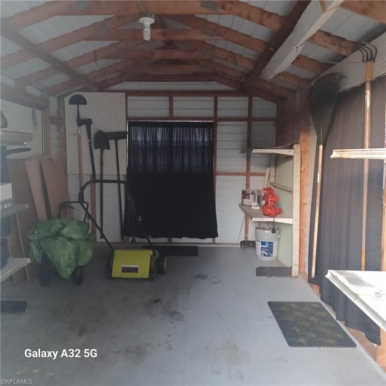 2324 Caladium RD-28