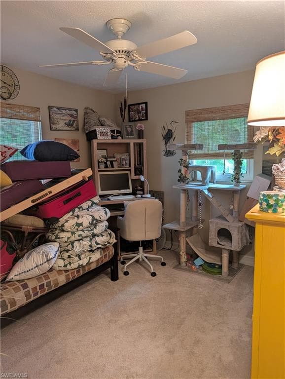 2324 Caladium RD-20