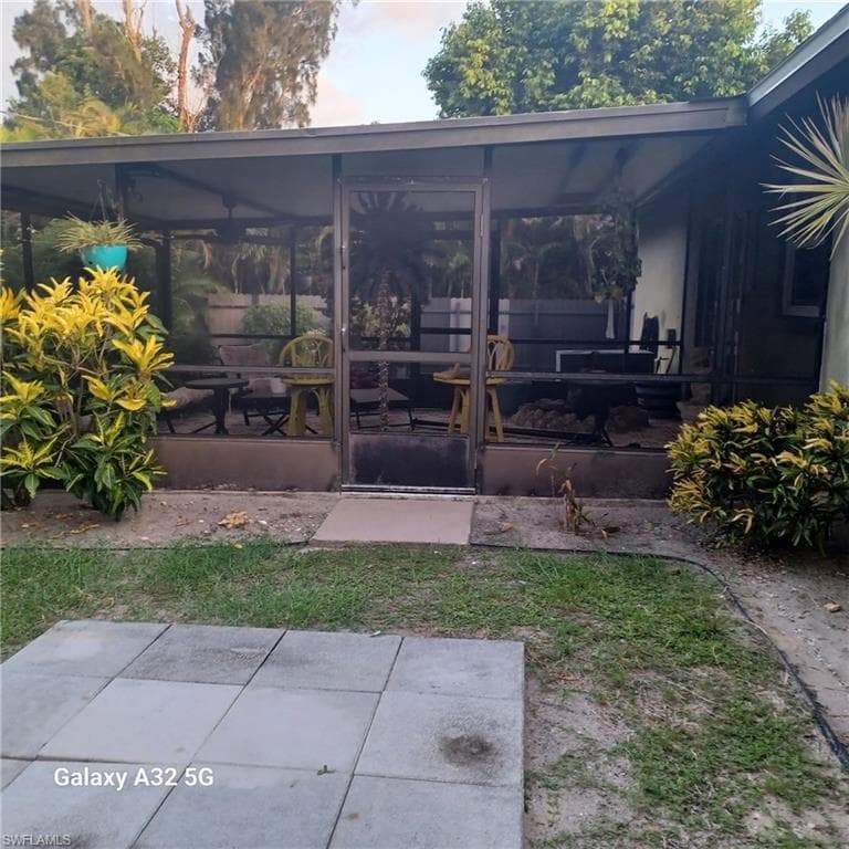 2324 Caladium RD-24