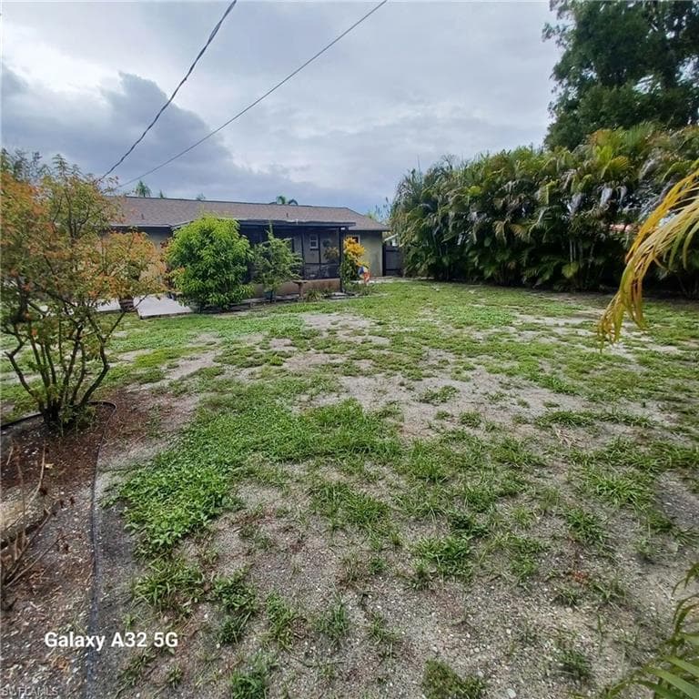 2324 Caladium RD-37