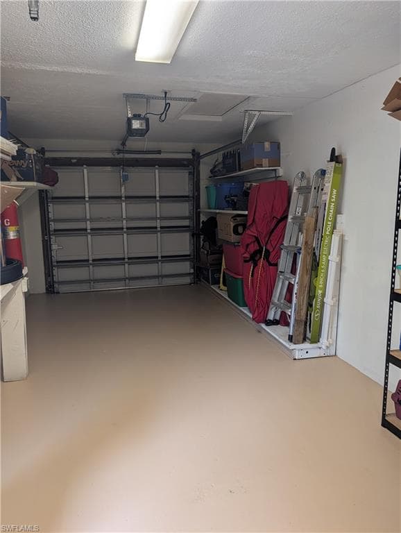 2324 Caladium RD-44
