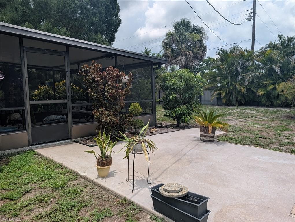 2324 Caladium RD-40