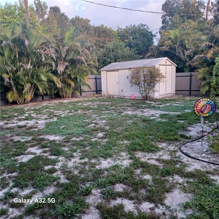 2324 Caladium RD-25