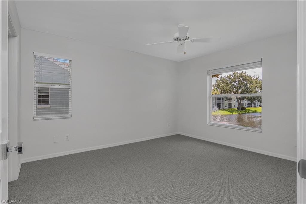 145 Wading Bird CIR 201-17