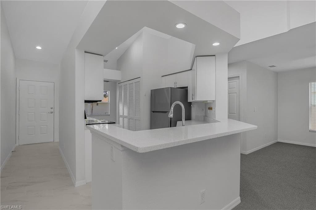 145 Wading Bird CIR 201-14