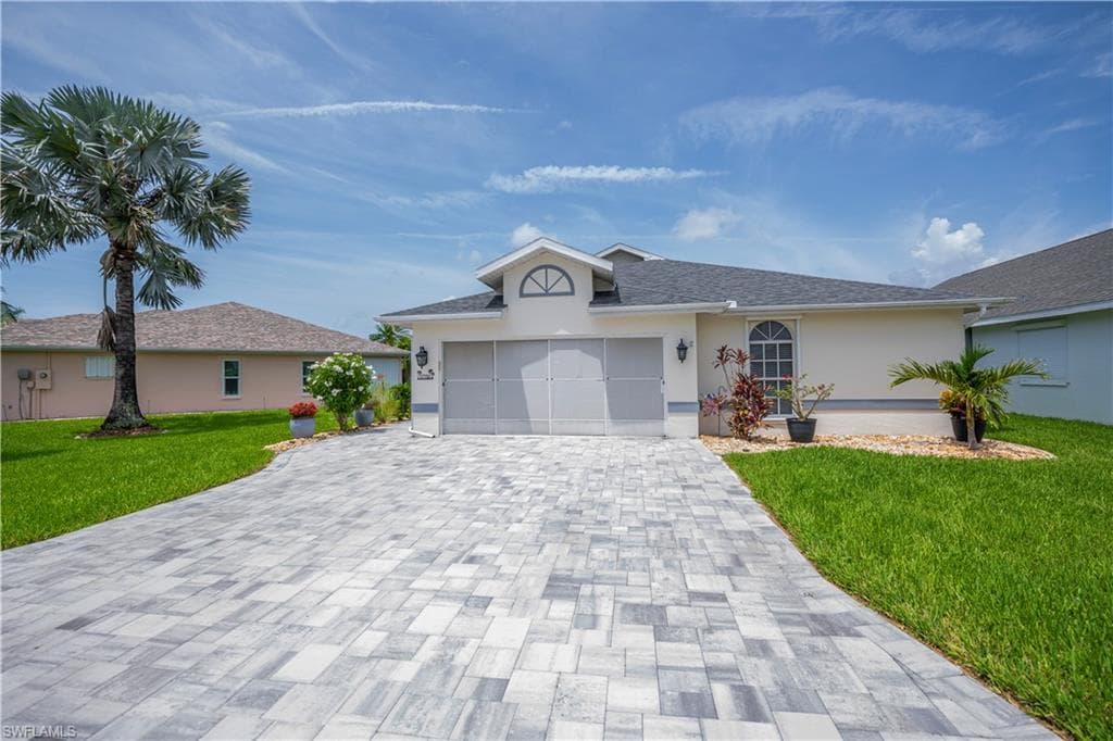 17751 Pineapple Palm CT-1