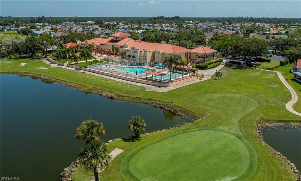 17751 Pineapple Palm CT-46
