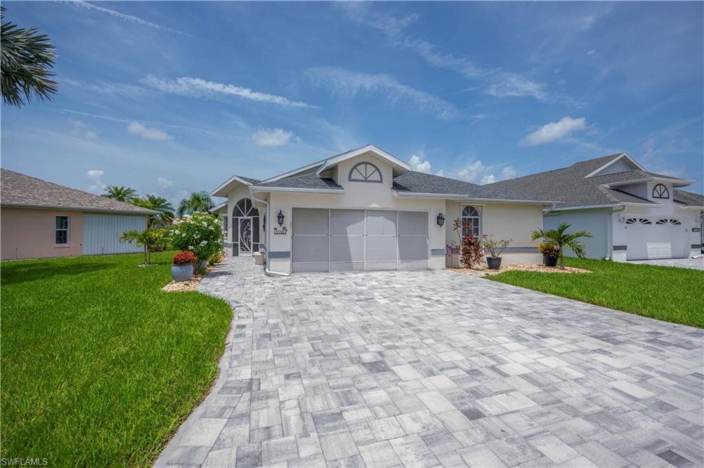 17751 Pineapple Palm CT-2