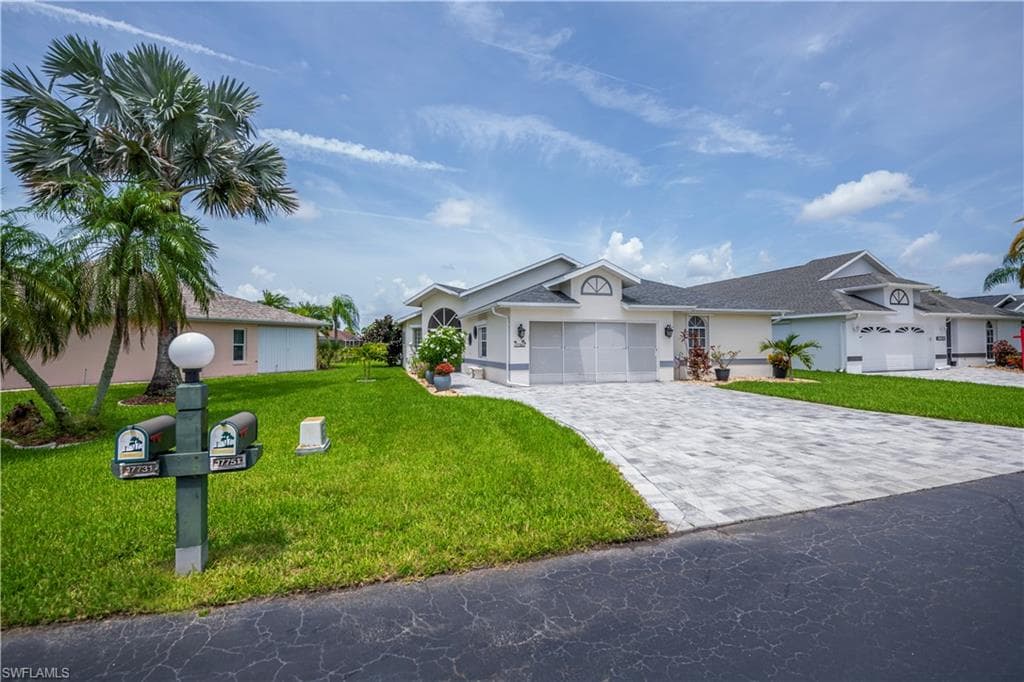 17751 Pineapple Palm CT-0