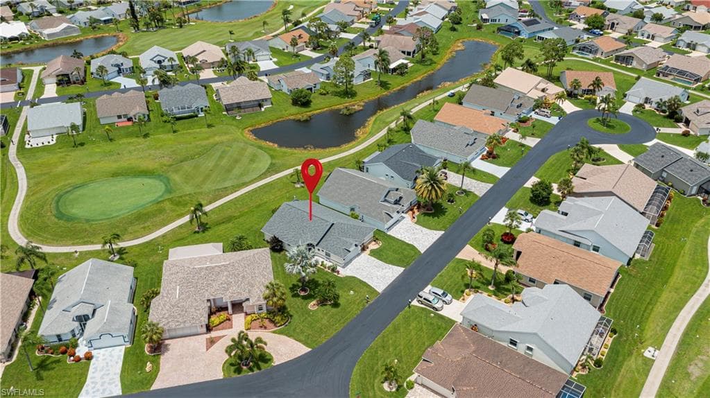 17751 Pineapple Palm CT-4