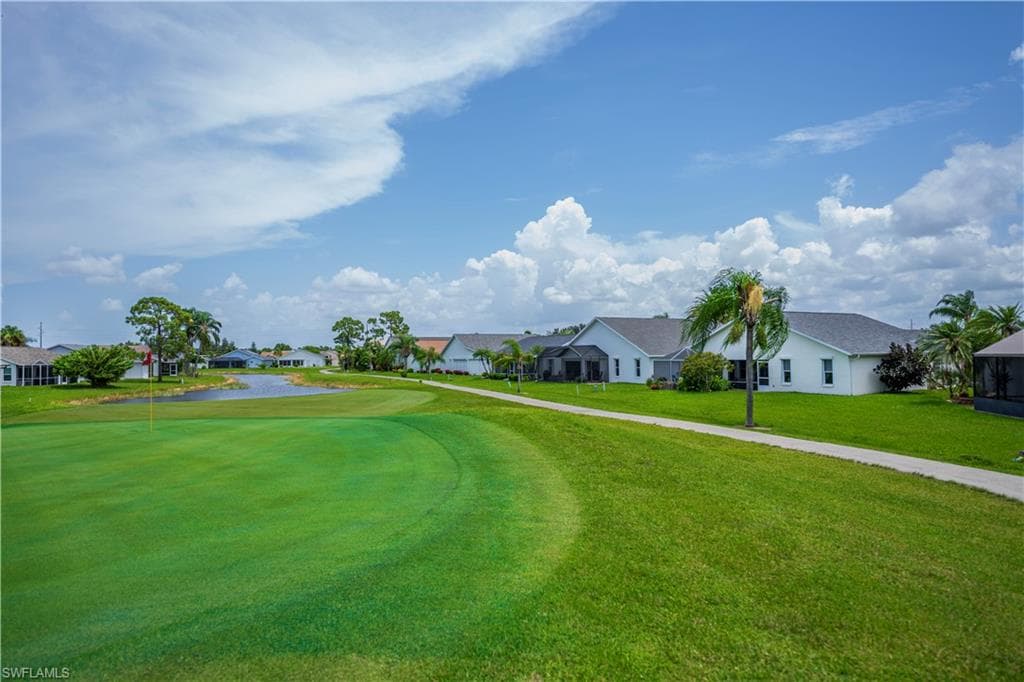 17751 Pineapple Palm CT-41