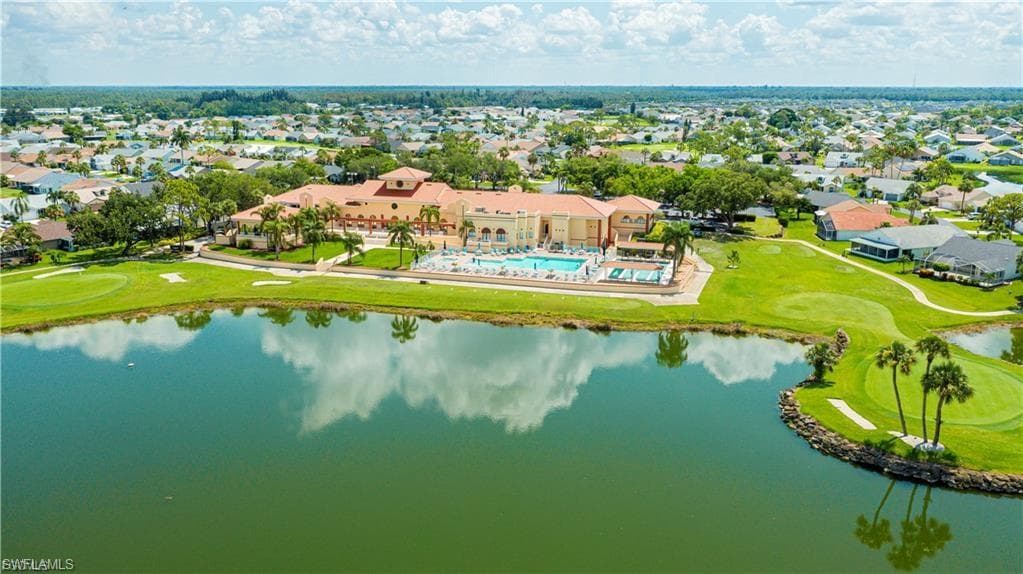 17751 Pineapple Palm CT-51