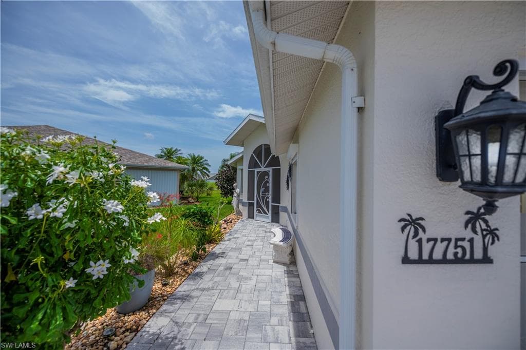 17751 Pineapple Palm CT-3