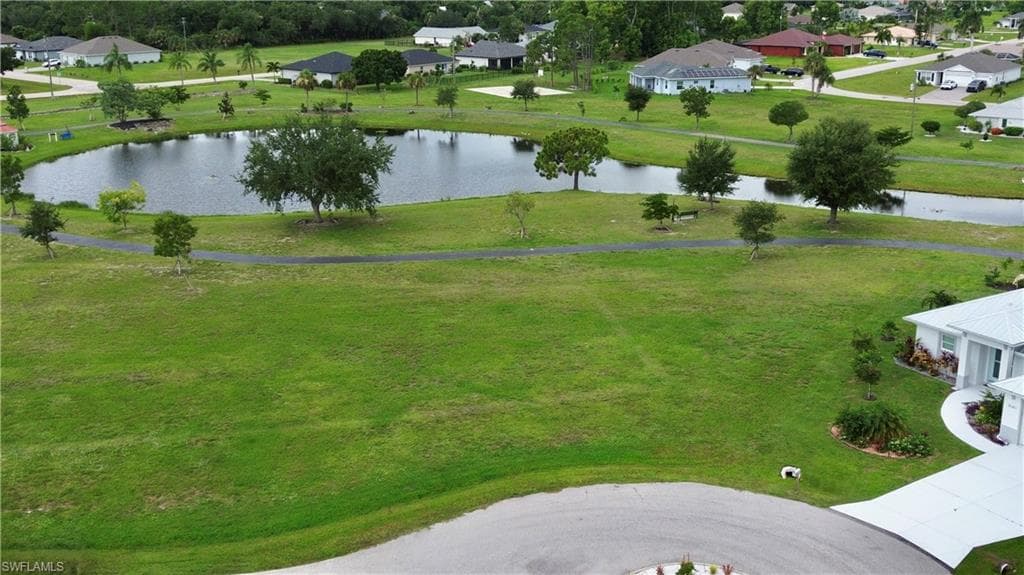 25309 Lychee CT-1
