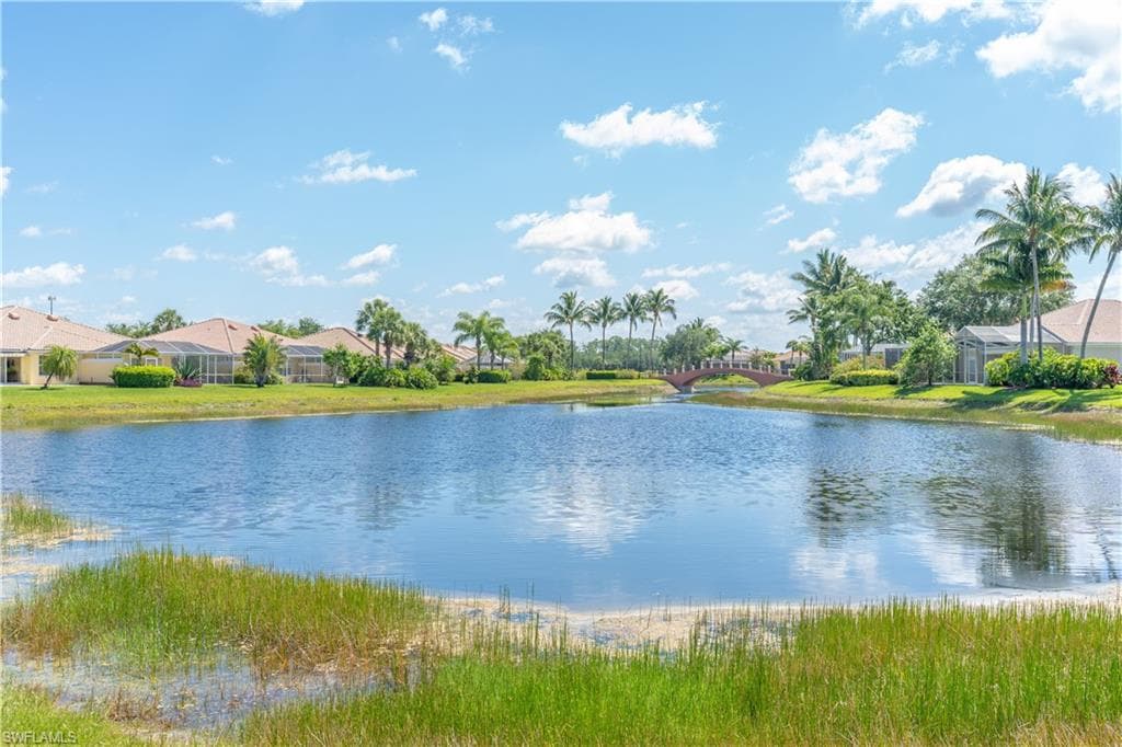 7319 Donatello CT-43