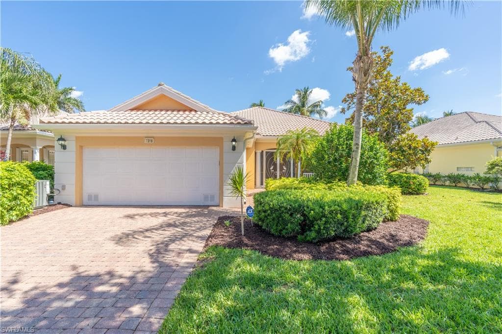 7319 Donatello CT-0