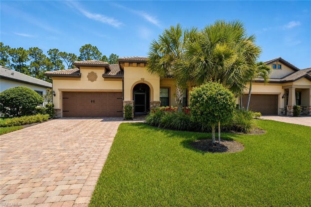 9432 Purple Martin CT-1