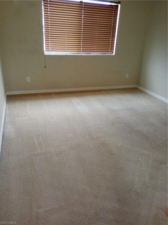3384 Dandolo CIR-10