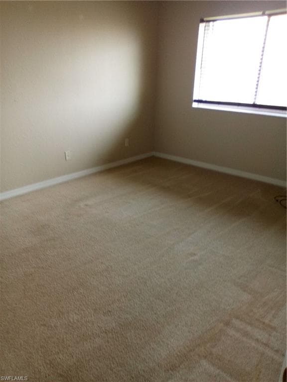 3384 Dandolo CIR-11