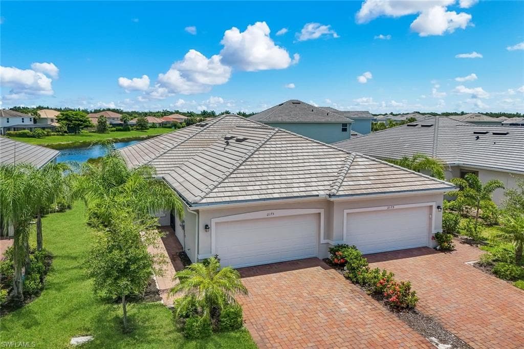 2175 Dragonfruit WAY-11