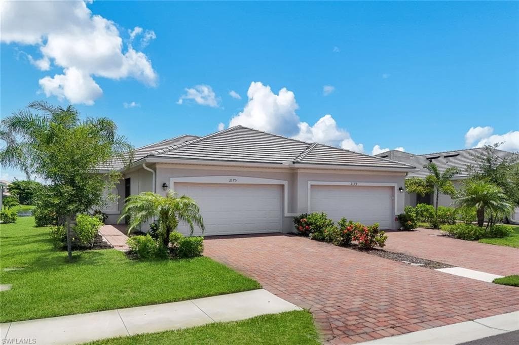 2175 Dragonfruit WAY-21
