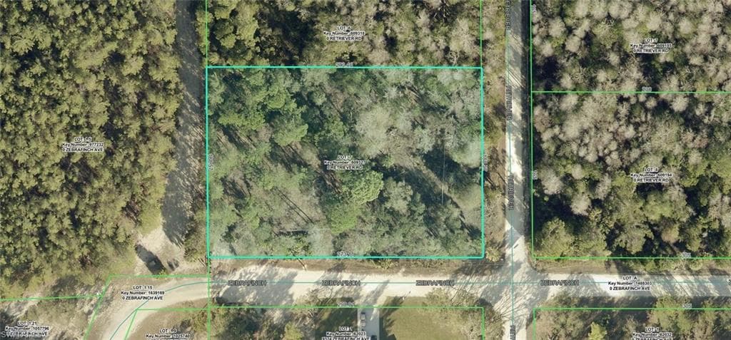 18429 Retriever RD-1
