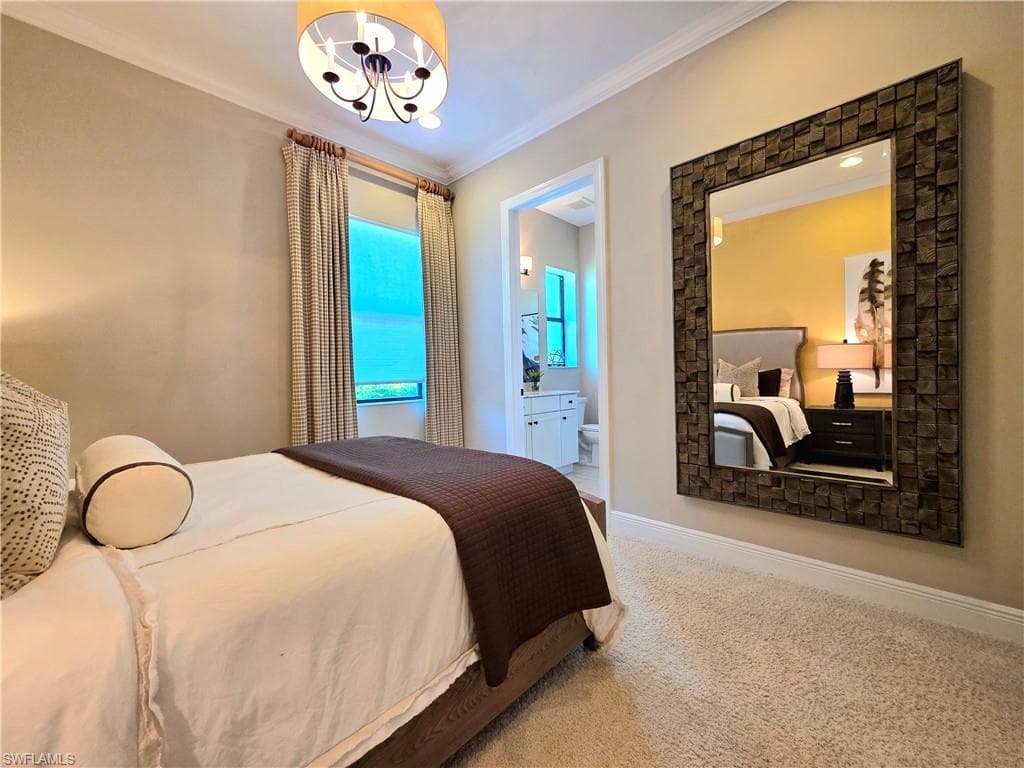 11624 Onyx CIR-10