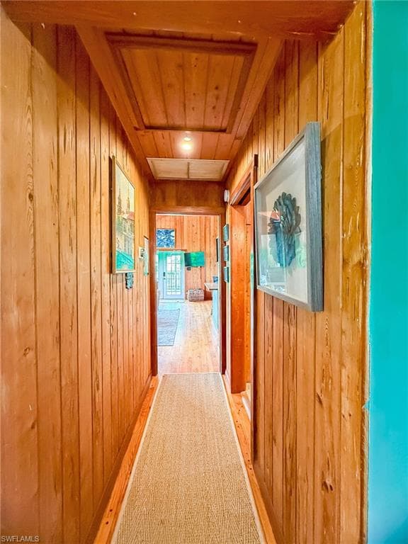 140 Mourning Dove DR-20