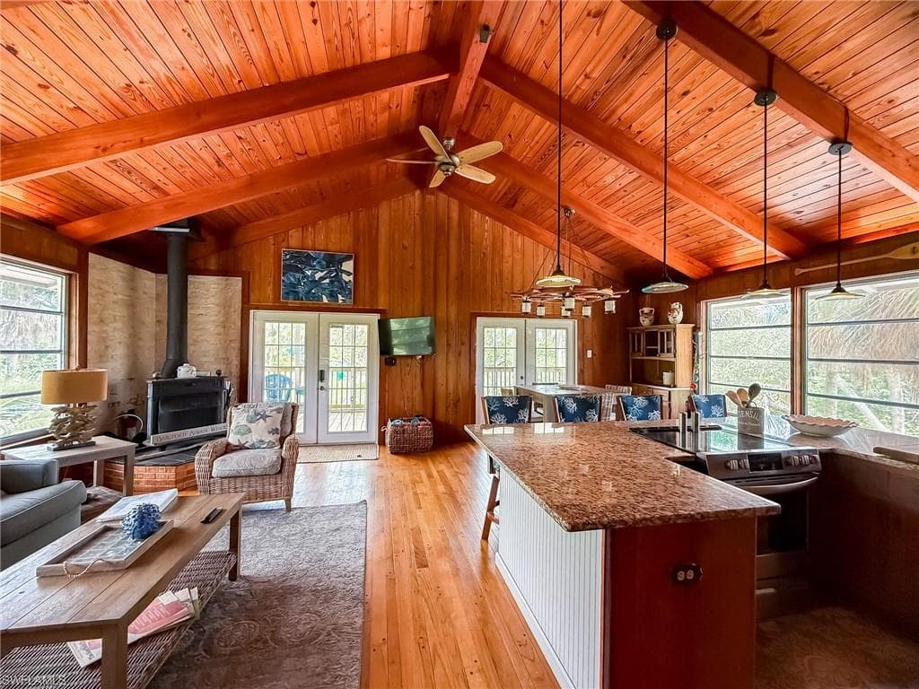 140 Mourning Dove DR-8
