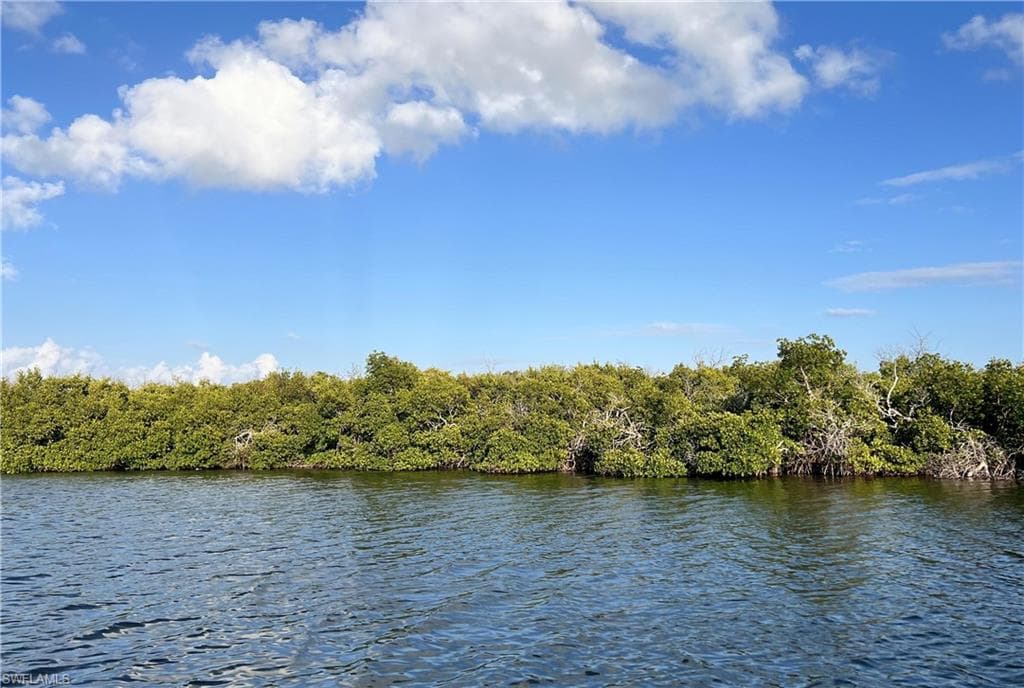 INDIAN FIELD KEY + ISLAND 1-2