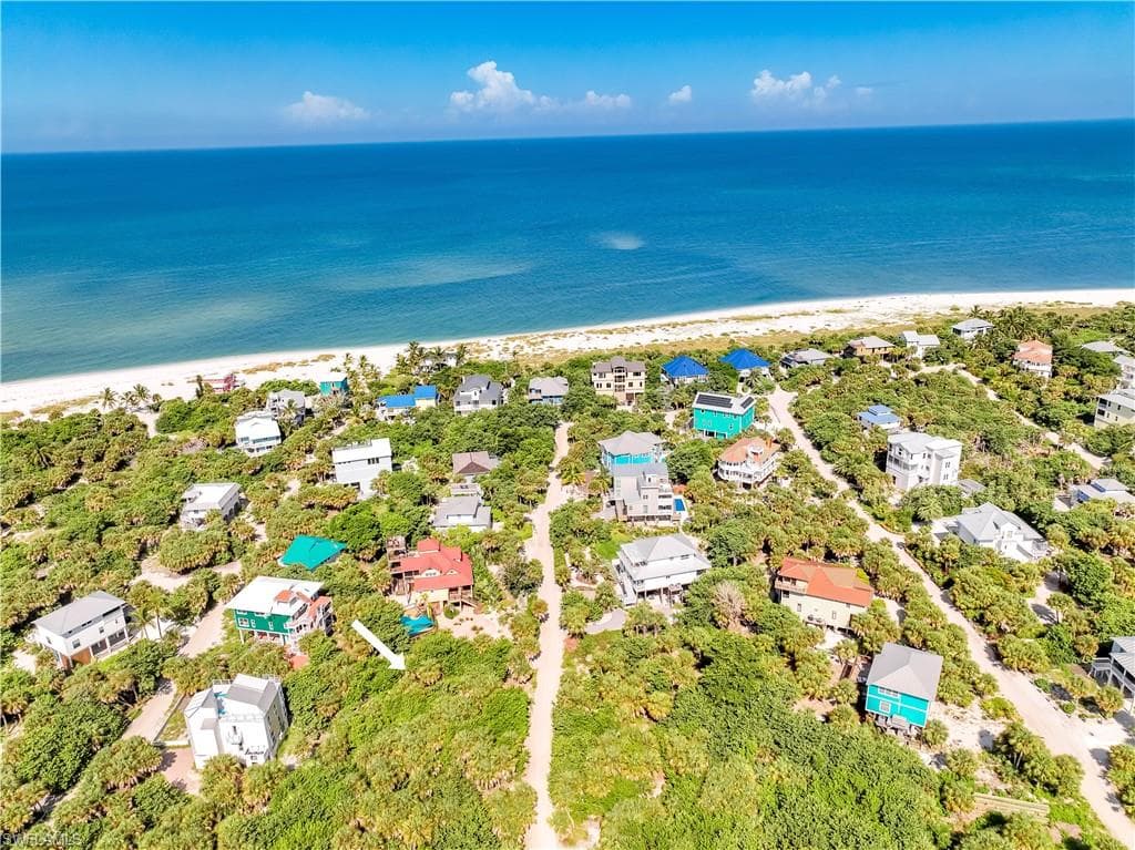 4531 Conch Shell DR-23