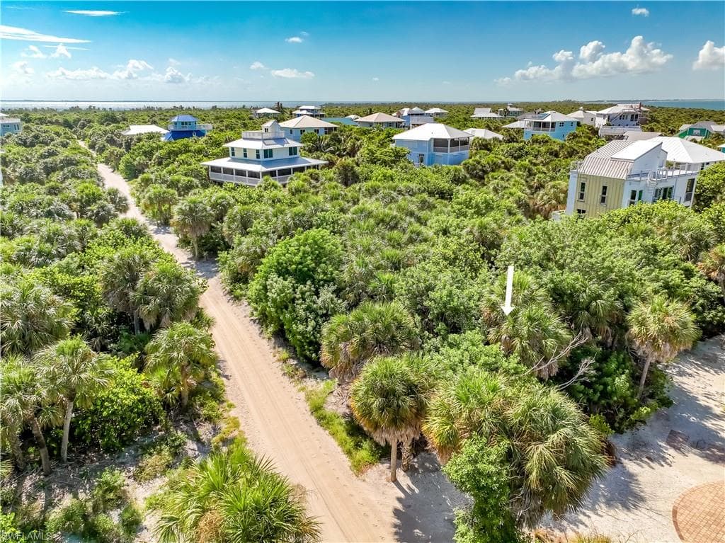 4531 Conch Shell DR-6
