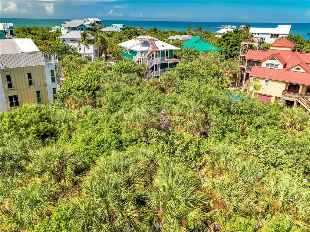 4531 Conch Shell DR-22