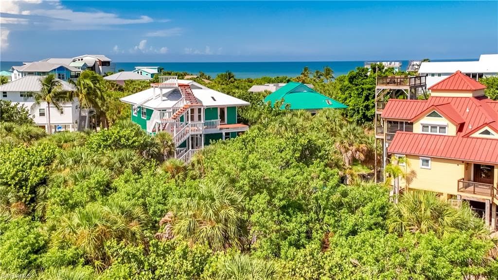 4531 Conch Shell DR-7