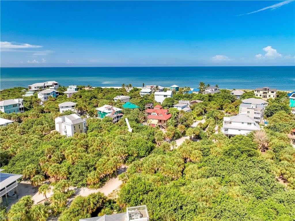 4531 Conch Shell DR-3