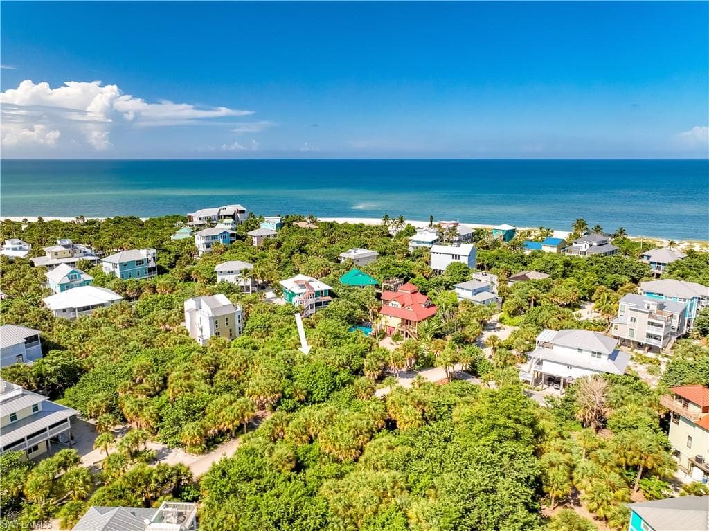 4531 Conch Shell DR-1