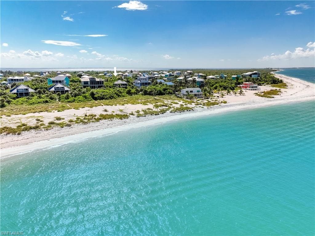 4531 Conch Shell DR-28