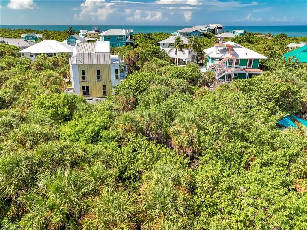 4531 Conch Shell DR-5