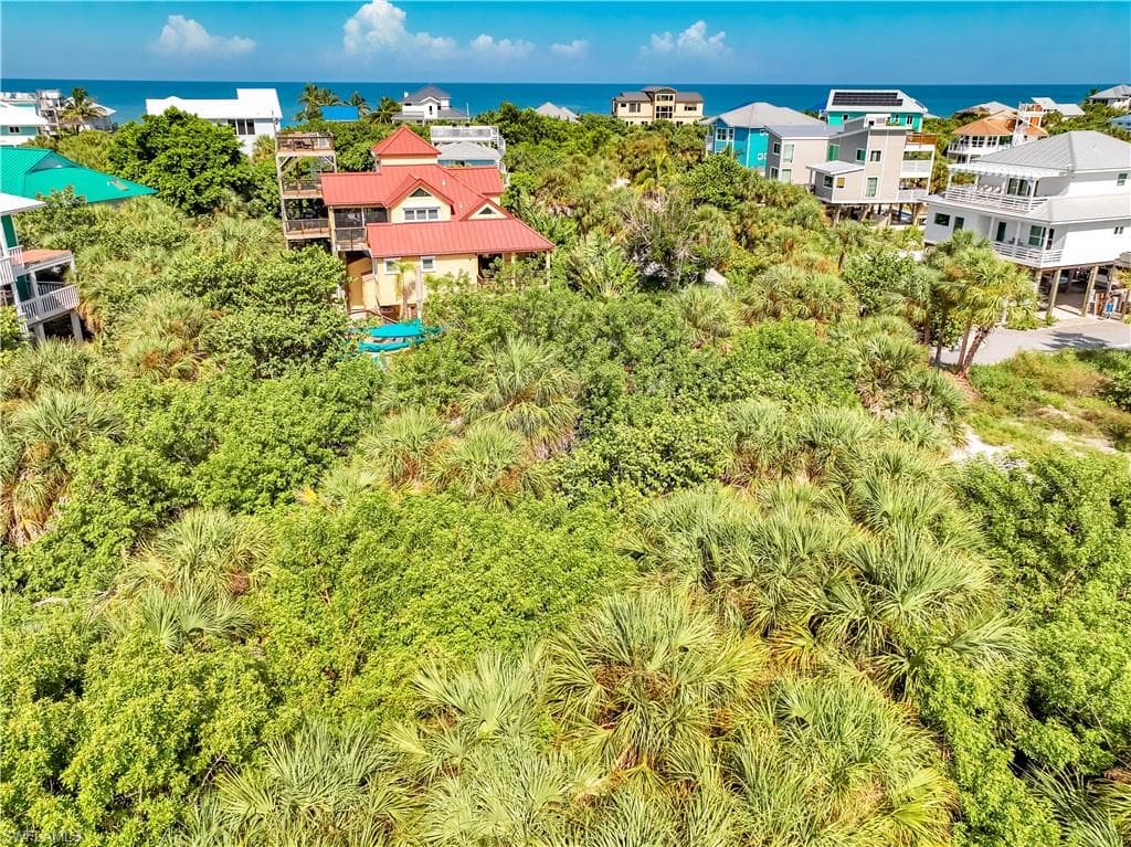 4531 Conch Shell DR-24